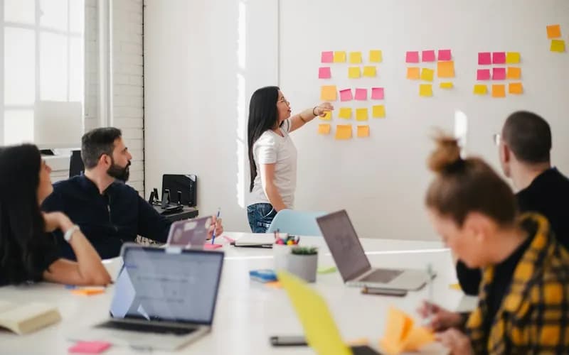 Momentum Digital Agentur
